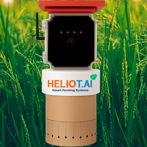 Device Image